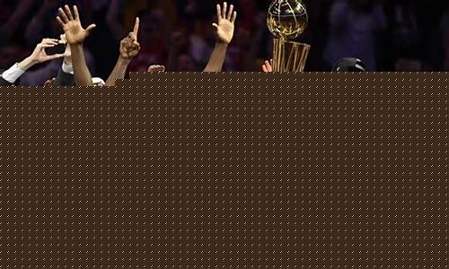 nba2011年总决赛_nba2011年总决赛詹姆斯数据