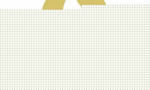 2024年巴黎奥运会女排比赛_2024年巴黎奥运会女排比赛时间