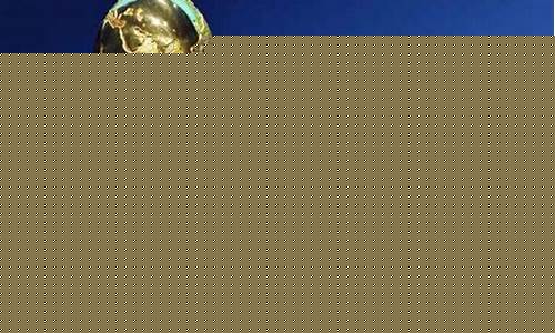 2022世界杯已确定名额_2o22世界杯名额