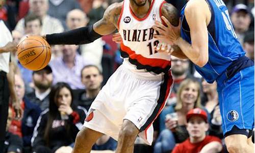 nba阿尔德里奇_nba 阿尔德里奇
