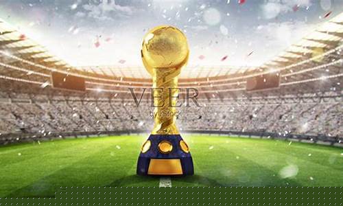 联合会杯2013_联合会杯2013年冠军