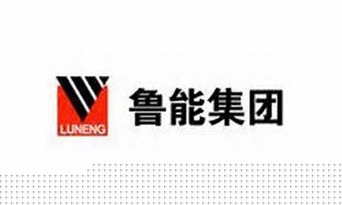山东鲁能集团简介_山东鲁能集团简介董事长