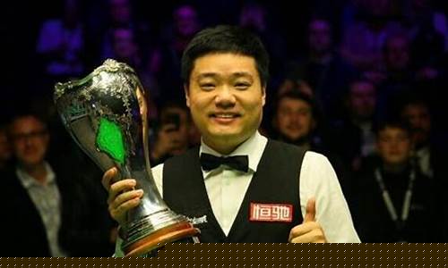 丁俊晖排名赛冠军_丁俊晖排名赛冠军多少个