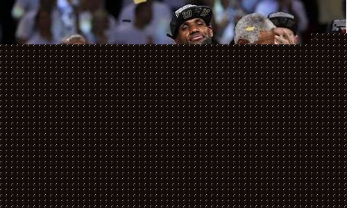 2013nba总决赛冠军_2013nba总决赛冠军是谁