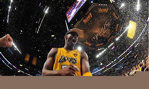 2010nba总决赛7场数据_2010nba总决赛七场数据