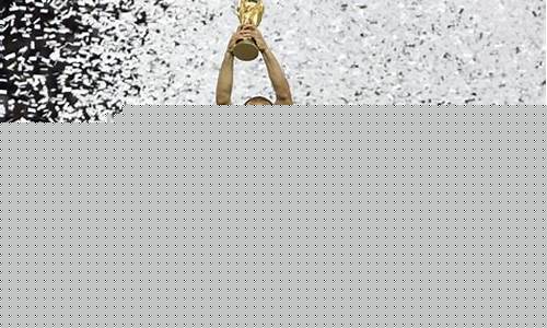 2010世界杯意大利_2010世界杯意大利队阵容
