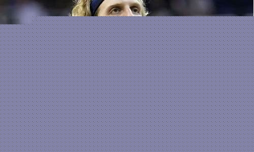nba诺维斯基_nba诺维斯基个人资料