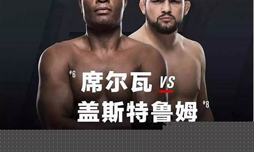ufc格斗之夜_ufc格斗之夜在线观看