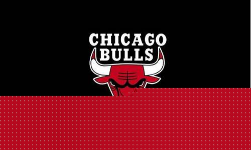 nba公牛队_nba公牛队球员名单阵容